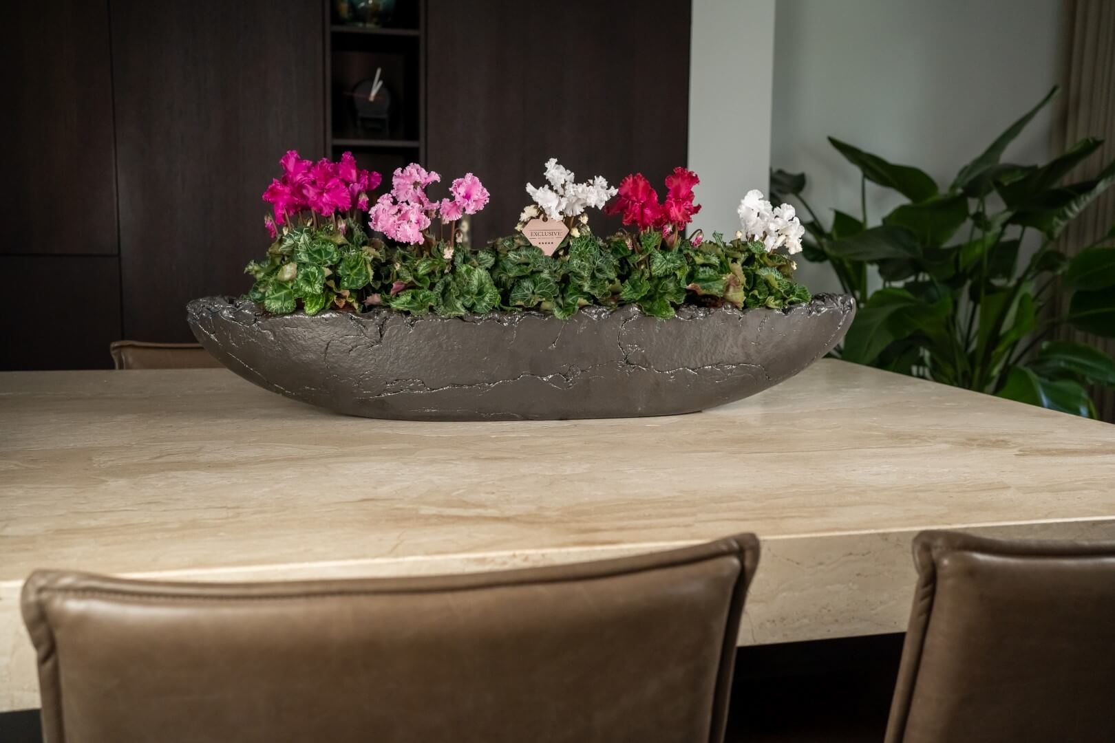 Bergcamp - exclusive-consumer - Exclusive cyclamen1