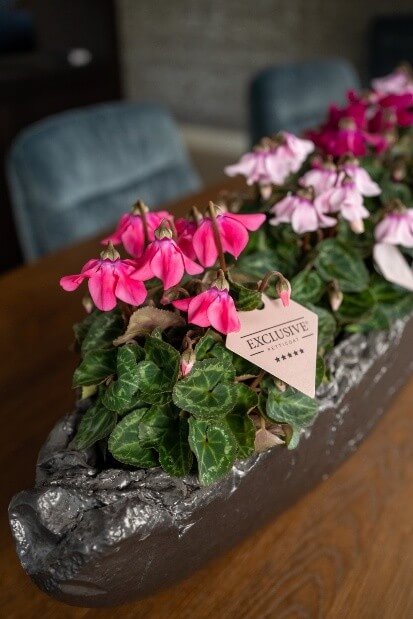 Bergcamp - Petticoat Bergcamp - Petticoat